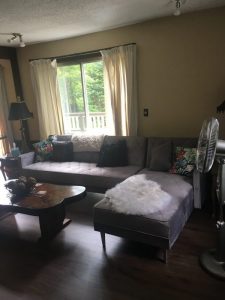 cognato lower living room with sectional couch